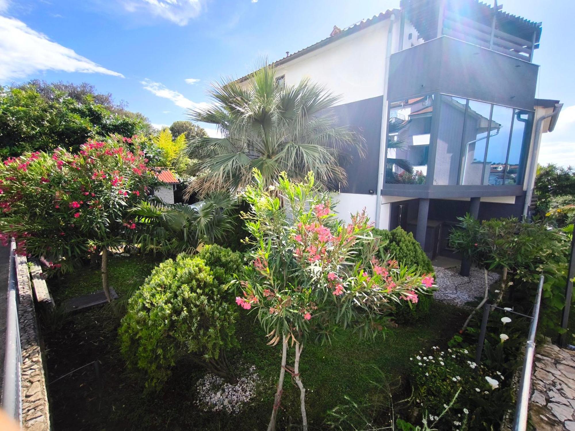 Apartmani Andrea พูลา ภายนอก รูปภาพ